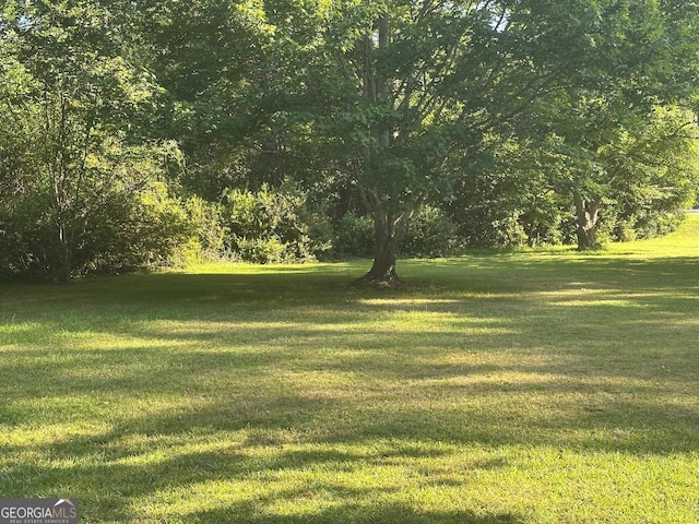 1408 Main St, Perry, GA 31069 - view of grassy yard