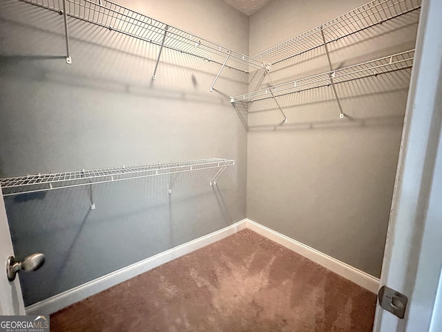 101 Riverchest Dr, Lagrange, GA 30240 - spacious closet with carpet floors