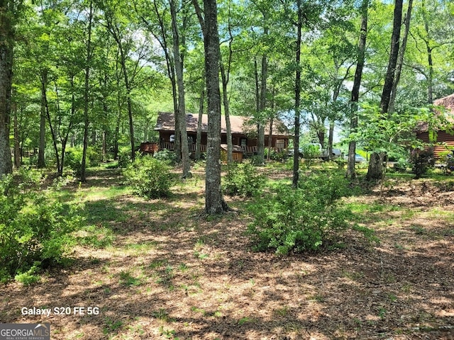 1904 S State Line Rd, Lagrange, GA 30240 - view of yard