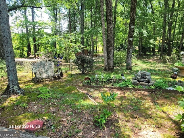 1904 S State Line Rd, Lagrange, GA 30240 - view of yard