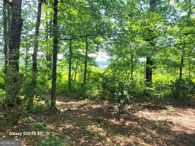1904 S State Line Rd, Lagrange, GA 30240 - view of wooded area