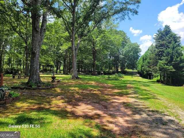 1904 S State Line Rd, Lagrange, GA 30240 - surrounding community with a lawn