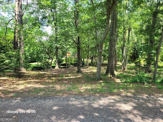 1904 S State Line Rd, Lagrange, GA 30240 - view of undeveloped land