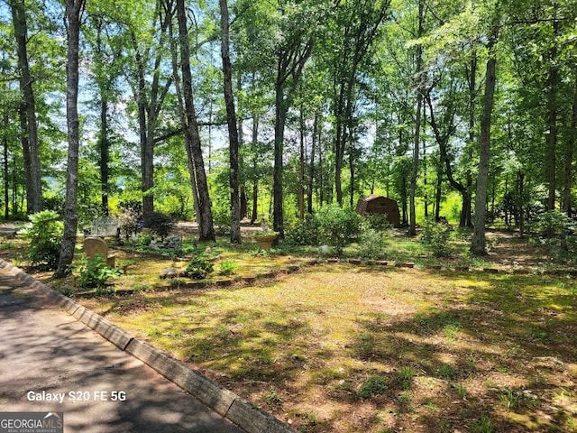 1904 S State Line Rd, Lagrange, GA 30240 - view of yard with a storage unit