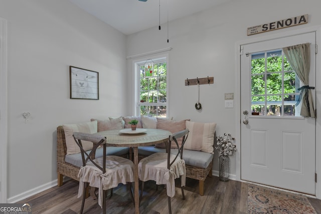 259 Coweta St, Senoia, GA 30276 - dining room featuring healthy amount of natural light, wood finished floors, and ceiling fan