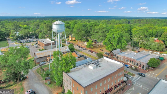 259 Coweta St, Senoia, GA 30276 - bird's eye view of a forest