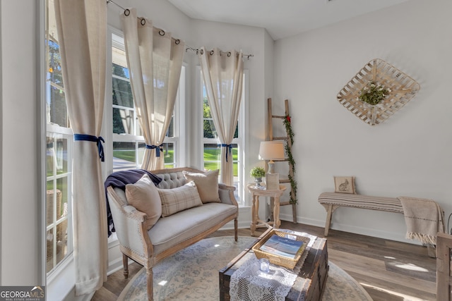 259 Coweta St, Senoia, GA 30276 - living area with plenty of natural light and wood finished floors