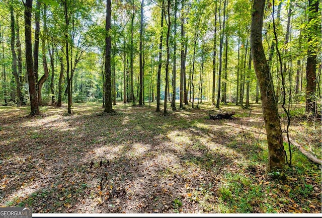 1978 Luther Bailey Rd, Senoia, GA 30276