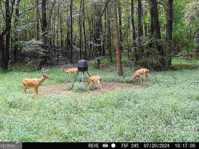 1978 Luther Bailey Rd, Senoia, GA 30276