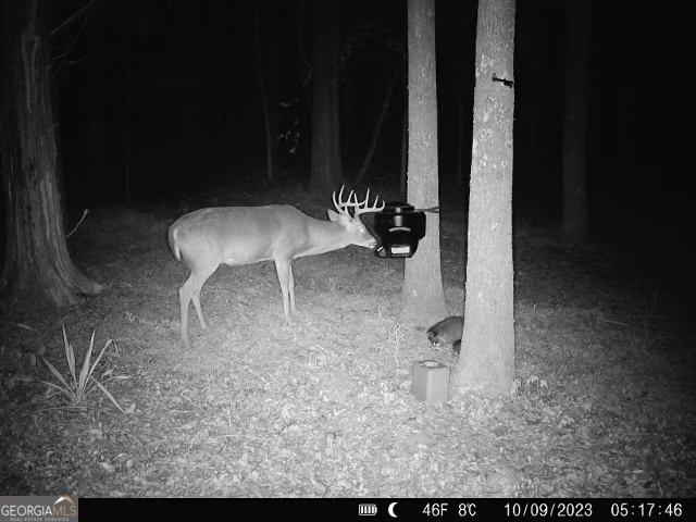 1978 Luther Bailey Rd, Senoia, GA 30276