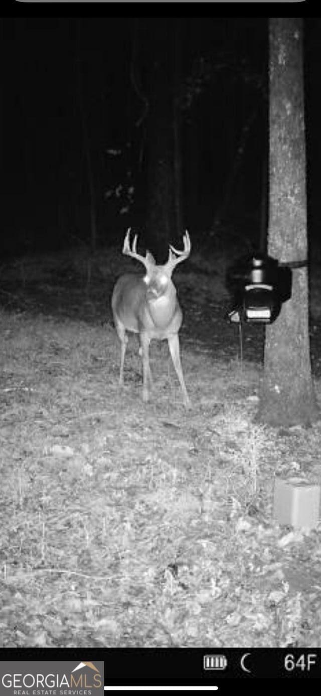 1978 Luther Bailey Rd, Senoia, GA 30276