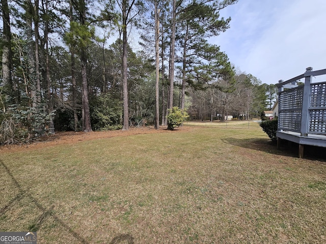 164 Turner Creek Dr, Hampton, GA 30228 - view of grassy yard