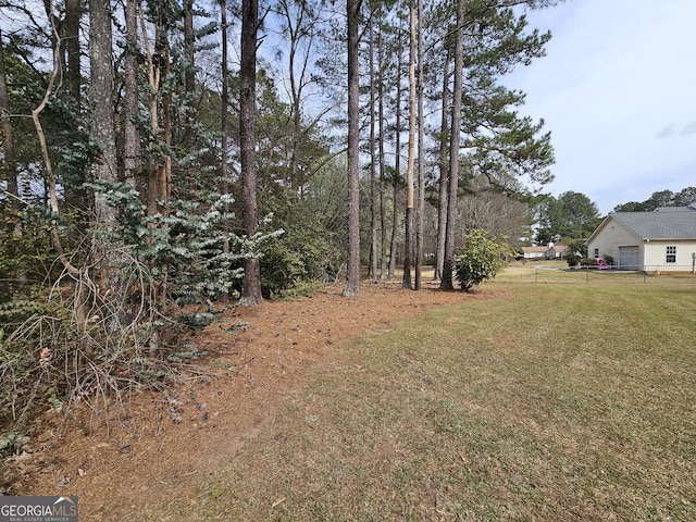 164 Turner Creek Dr, Hampton, GA 30228 - view of yard