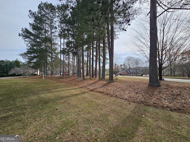 164 Turner Creek Dr, Hampton, GA 30228 - view of grassy yard