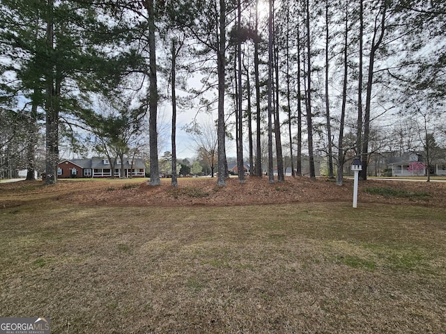 164 Turner Creek Dr, Hampton, GA 30228 - view of yard
