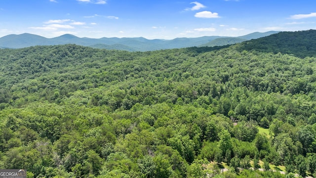 LOT1 High Knee Rd, Cherry Log, GA 30522