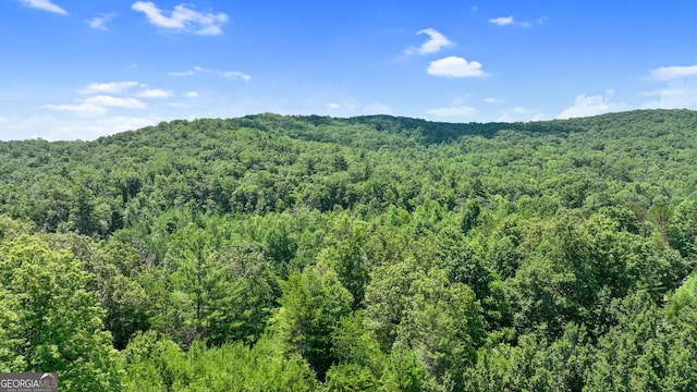 LOT1 High Knee Rd, Cherry Log, GA 30522
