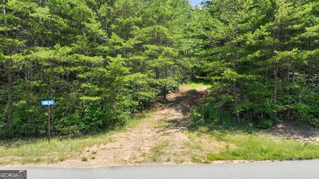 LOT1 High Knee Rd, Cherry Log, GA 30522