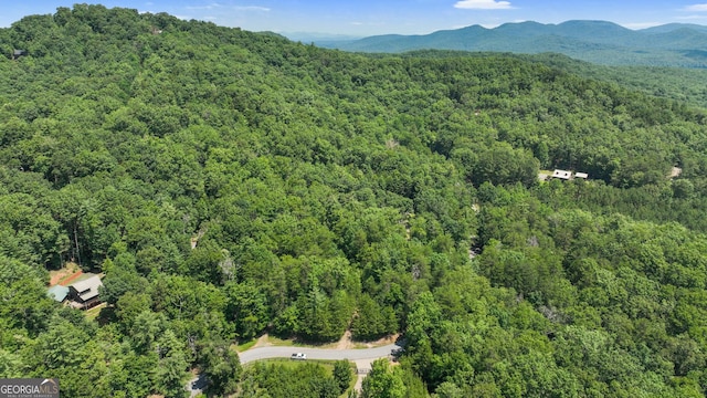 LOT1 High Knee Rd, Cherry Log, GA 30522