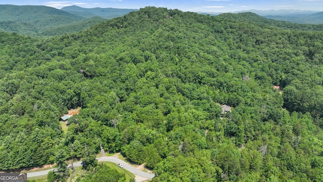 LOT1 High Knee Rd, Cherry Log, GA 30522