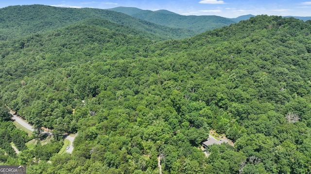 LOT1 High Knee Rd, Cherry Log, GA 30522