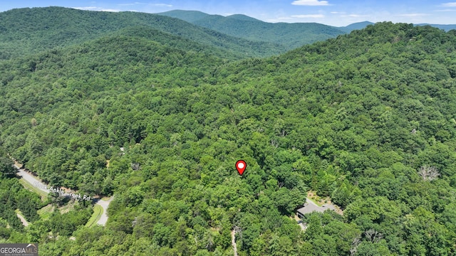 LOT1 High Knee Rd, Cherry Log, GA 30522