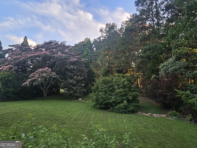 200 Chaparral Trce, Tyrone, GA 30290 - view of green lawn