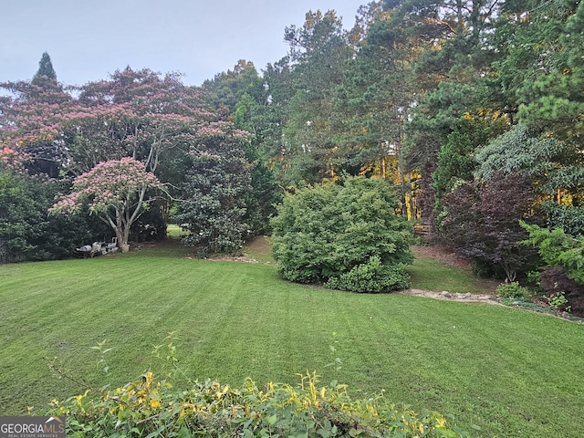 200 Chaparral Trce, Tyrone, GA 30290 - view of grassy yard