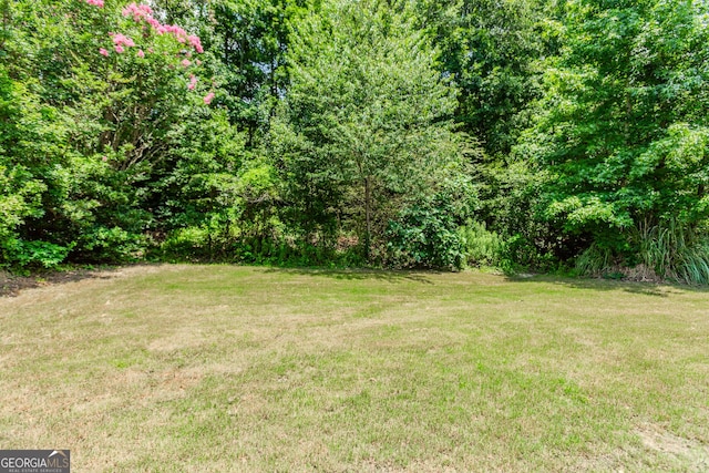 2023 Jameson Cir, Lawrenceville, GA 30043 - view of green lawn featuring a forest view
