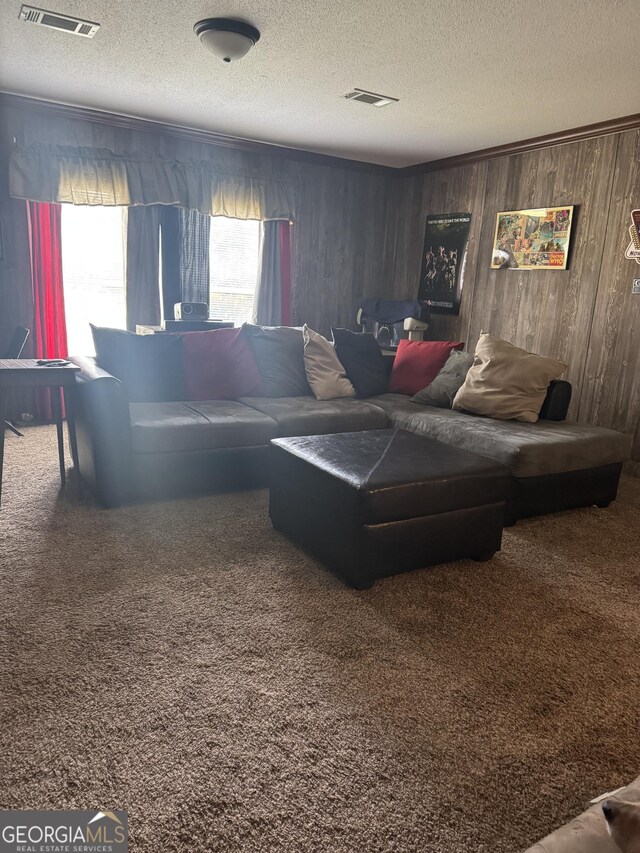 92 Graham Ln, Claxton, GA 30417 - living room with a textured ceiling, carpet flooring, and wood walls