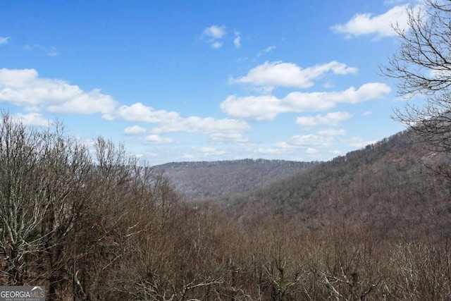 1043 Deer Run Rdg, Jasper, GA 30143 - view of mountain backdrop featuring a forest