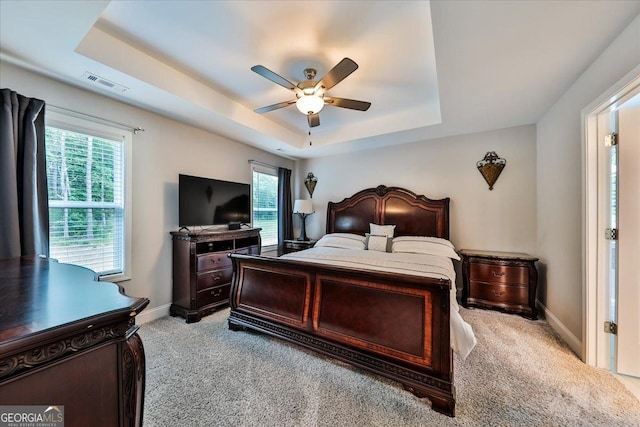 93 Oakdale Way, Temple, GA 30179 - bedroom featuring a raised ceiling, carpet floors, and multiple windows