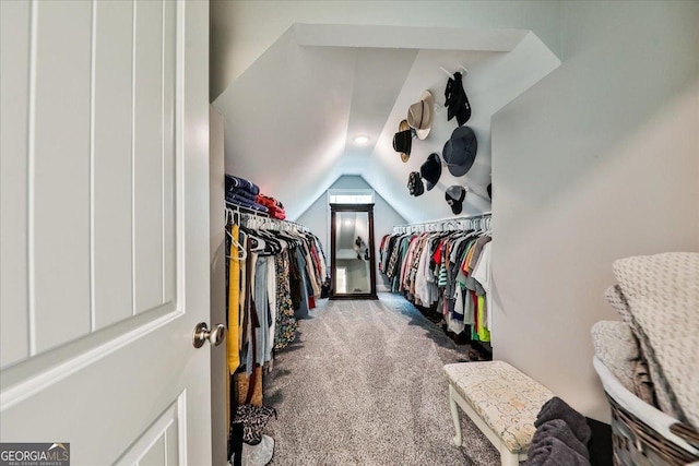 93 Oakdale Way, Temple, GA 30179 - spacious closet with carpet and lofted ceiling