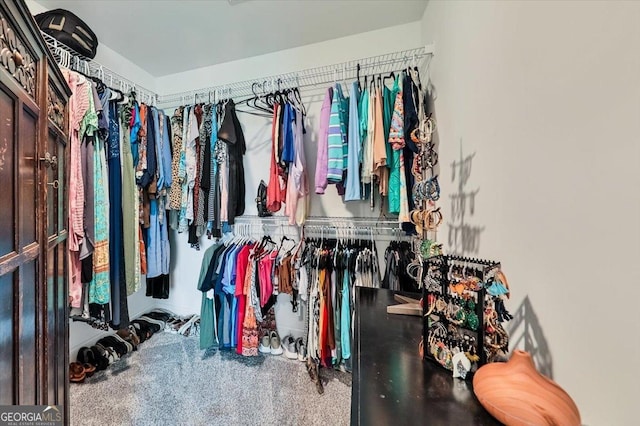 93 Oakdale Way, Temple, GA 30179 - walk in closet with carpet flooring