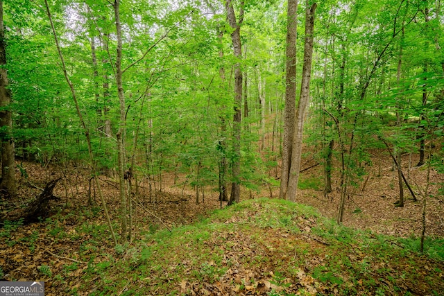 12 Scott Dr, Ellijay, GA 30540 - view of woods