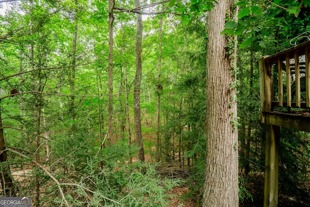 12 Scott Dr, Ellijay, GA 30540 - view of tree filled area