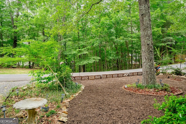 12 Scott Dr, Ellijay, GA 30540 - view of yard