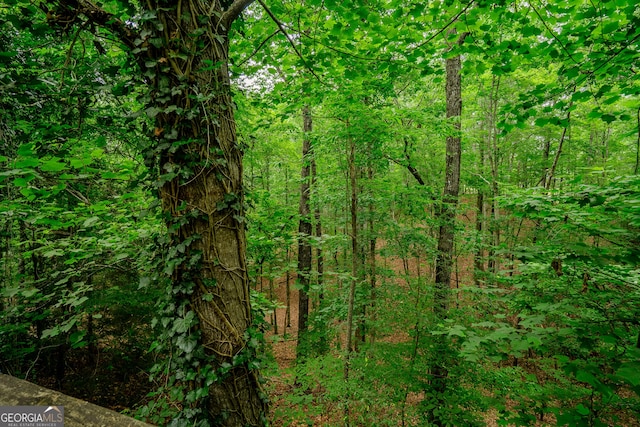 12 Scott Dr, Ellijay, GA 30540 - view of tree filled area