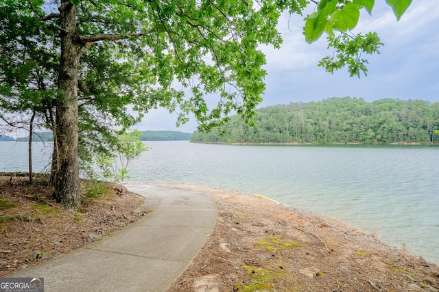 12 Scott Dr, Ellijay, GA 30540 - water view with a heavily wooded area