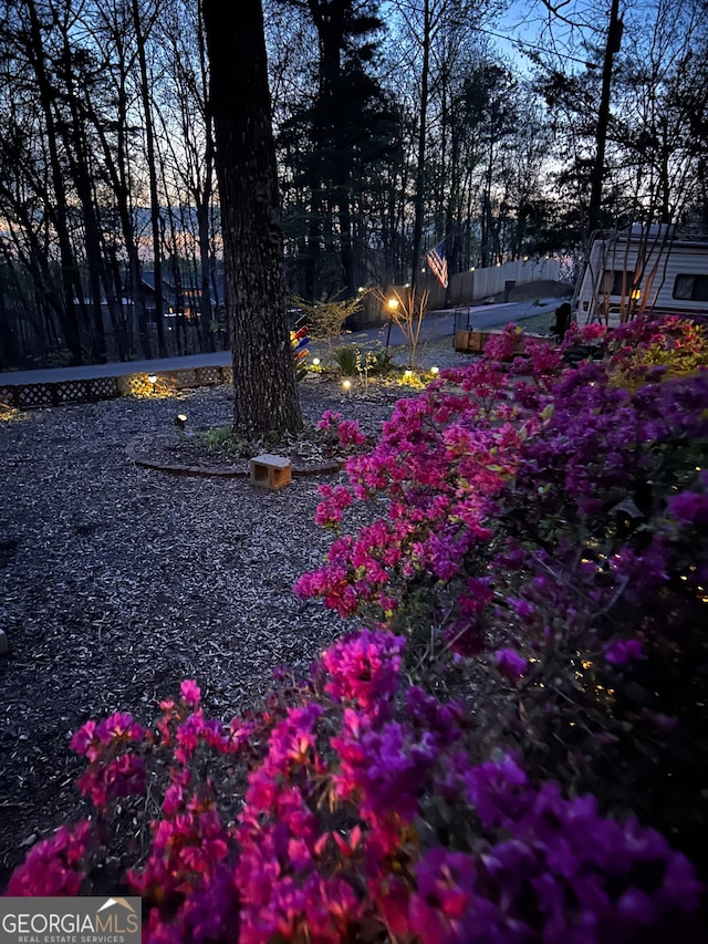 12 Scott Dr, Ellijay, GA 30540 - view of yard