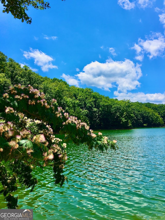 12 Scott Dr, Ellijay, GA 30540 - water view with a forest