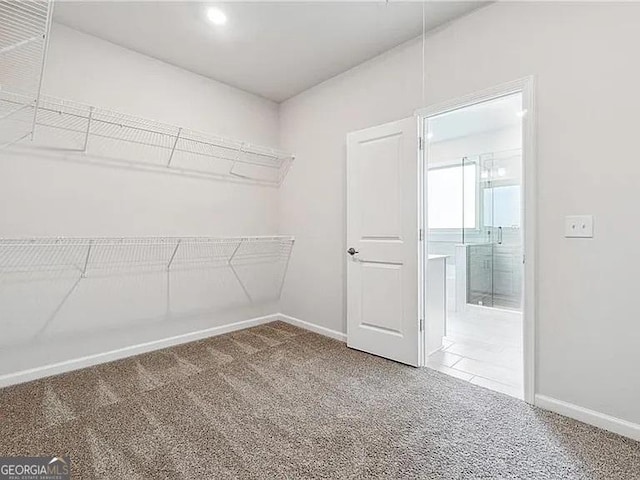 8415 Halford Way, Ball Ground, GA 30107 - walk in closet featuring carpet