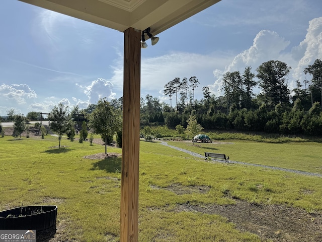 8415 Halford Way, Ball Ground, GA 30107 - view of green lawn