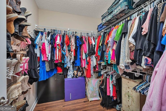 21 Hardwood Forest Cir, Brunswick, GA 31525 - walk in closet with wood finished floors