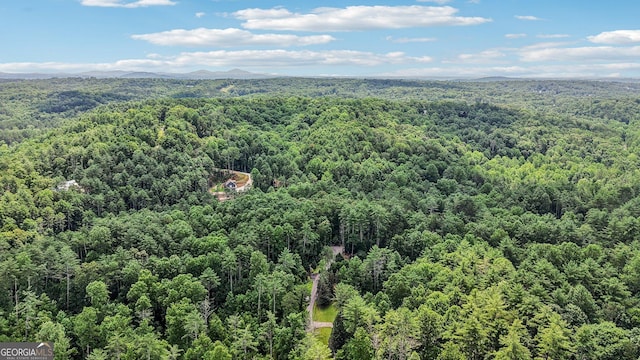 150 Buck Run E, Dahlonega, GA 30533 - drone / aerial view of a forest