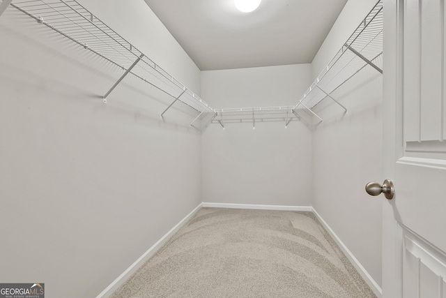 209 Merritt Cir, Newnan, GA 30263 - walk in closet with carpet flooring