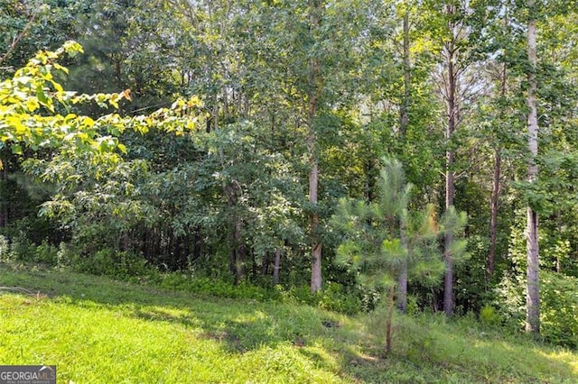 80 Jacob, Rockmart, GA 30153 - view of woods