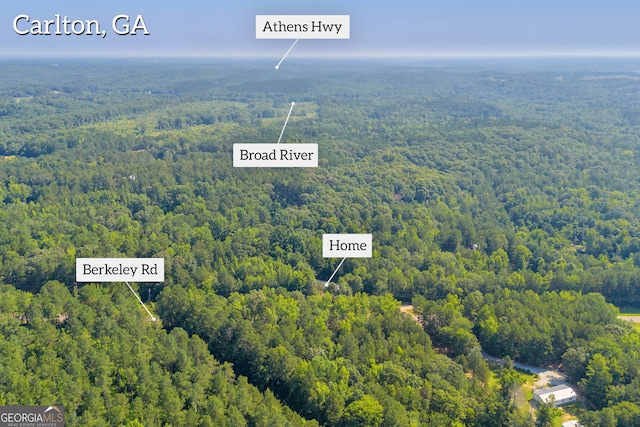 489 Berkeley Rd, Carlton, GA 30627 - aerial view of a forest