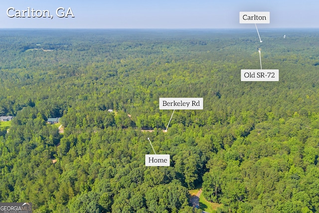 489 Berkeley Rd, Carlton, GA 30627 - view of property location featuring a heavily wooded area