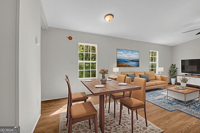 489 Berkeley Rd, Carlton, GA 30627 - dining space featuring wood finished floors, plenty of natural light, and ceiling fan